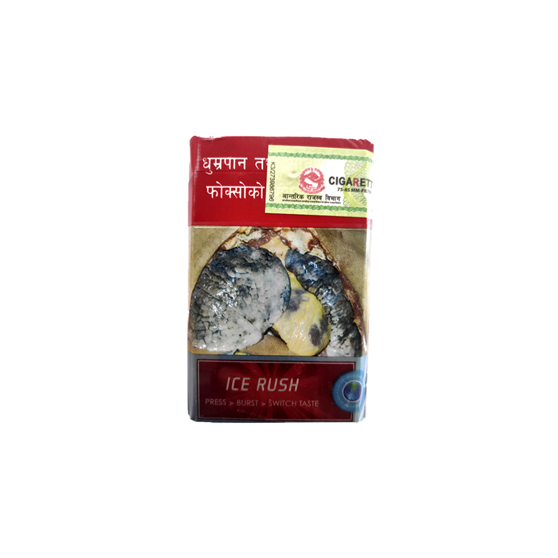  Shikhar Ice Pack